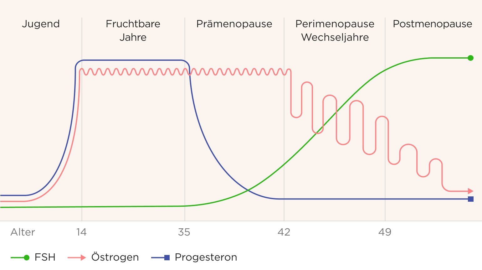 Grafische Darstellung der Hormonspiegel von Östrogen, Progesteron und FSH, die in den fruchtbaren Jahren von 14 bis 35 Jahren, der Prämenopause bis 42, der Perimenopause (Wechseljahre) bis 49 und der Postmenopause durchschnittlich auftreten.